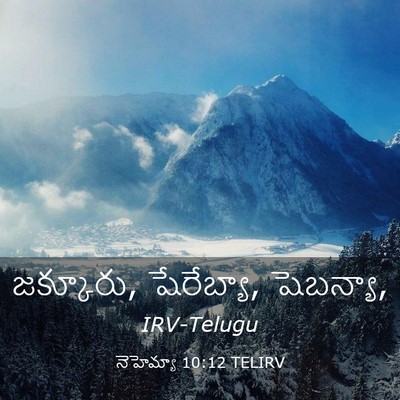 Picture 03 - నెహెమ్యా 10:12 TELIRV - జక్కూరు, షేరేబ్యా, - Bible Verse Picture