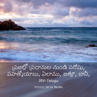 Picture 03 - నెహెమ్యా 10:14 TELIRV - ప్రజల్లో ప్రధానుల - Bible Verse Picture