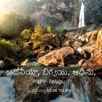Picture 03 - నెహెమ్యా 10:16 TELIRV - అదోనీయా, బిగ్వయి, - Bible Verse Picture