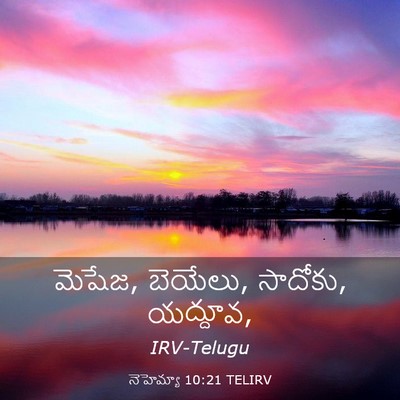Picture 03 - నెహెమ్యా 10:21 TELIRV - మెషేజ, బెయేలు, - Bible Verse Picture