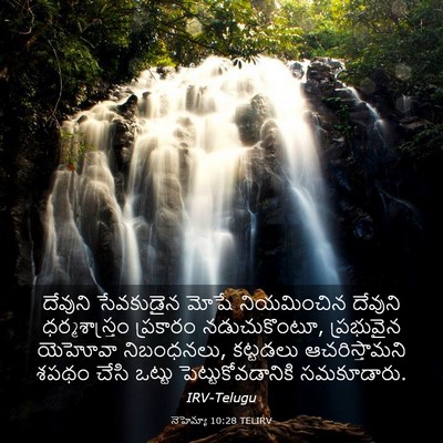 Picture 03 - నెహెమ్యా 10:28 TELIRV - దేవుని సేవకుడైన - Bible Verse Picture