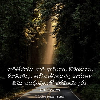 Picture 03 - నెహెమ్యా 10:29 TELIRV - వారితోపాటు వారి - Bible Verse Picture