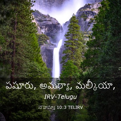 Picture 03 - నెహెమ్యా 10:3 TELIRV - పషూరు, అమర్యా, - Bible Verse Picture