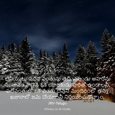 Picture 03 - నెహెమ్యా 10:38 TELIRV - లేవీయులు పదవ - Bible Verse Picture