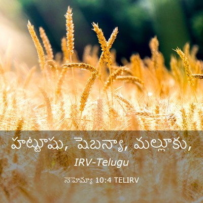 Picture 03 - నెహెమ్యా 10:4 TELIRV - హట్టూషు, షెబన్యా, - Bible Verse Picture
