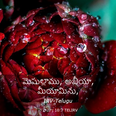 Picture 03 - నెహెమ్యా 10:7 TELIRV - మెషుల్లాము, అబీయా, - Bible Verse Picture