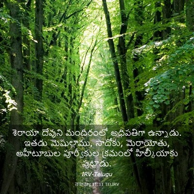 Picture 03 - నెహెమ్యా 11:11 TELIRV - శెరాయా దేవుని - Bible Verse Picture