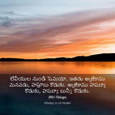 Picture 03 - నెహెమ్యా 11:15 TELIRV - లేవీయుల నుండి - Bible Verse Picture