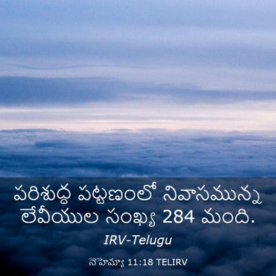 Picture 03 - నెహెమ్యా 11:18 TELIRV - పరిశుద్ధ పట్టణంలో - Bible Verse Picture