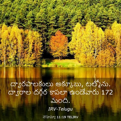 Picture 03 - నెహెమ్యా 11:19 TELIRV - ద్వారపాలకులు - Bible Verse Picture