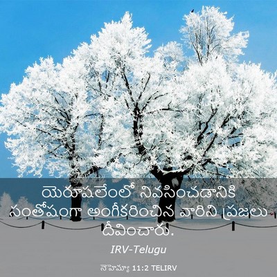 Picture 03 - నెహెమ్యా 11:2 TELIRV - యెరూషలేంలో - Bible Verse Picture