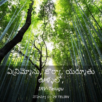 Picture 03 - నెహెమ్యా 11:29 TELIRV - ఏన్రిమ్మోను, - Bible Verse Picture