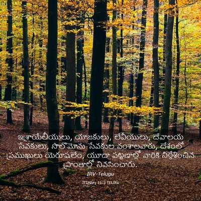 Picture 03 - నెహెమ్యా 11:3 TELIRV - ఇశ్రాయేలీయులు, - Bible Verse Picture