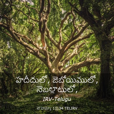 Picture 03 - నెహెమ్యా 11:34 TELIRV - హదీదులో, - Bible Verse Picture