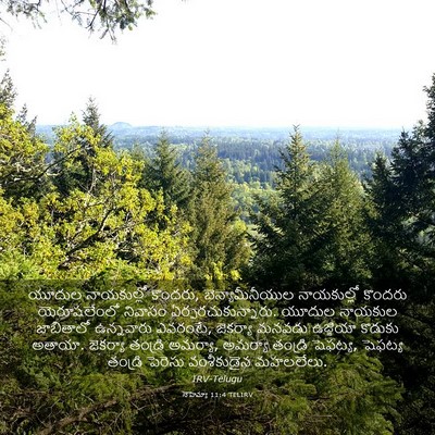 Picture 03 - నెహెమ్యా 11:4 TELIRV - యూదుల నాయకుల్లో - Bible Verse Picture