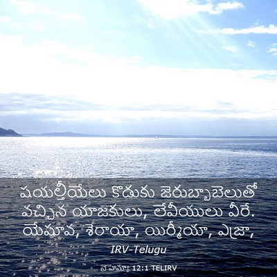 Picture 03 - నెహెమ్యా 12:1 TELIRV - షయల్తీయేలు కొడుకు - Bible Verse Picture
