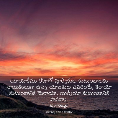 Picture 03 - నెహెమ్యా 12:12 TELIRV - యోయాకీము రోజుల్లో - Bible Verse Picture