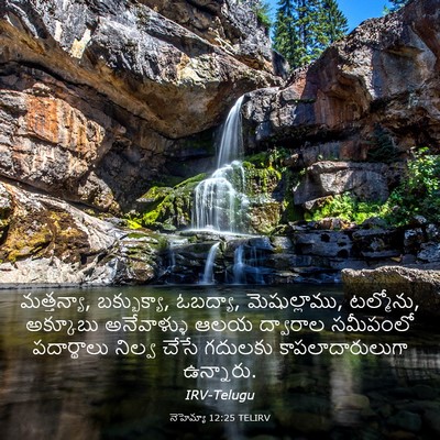 Picture 03 - నెహెమ్యా 12:25 TELIRV - మత్తన్యా, - Bible Verse Picture