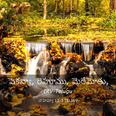 Picture 03 - నెహెమ్యా 12:3 TELIRV - షెకన్యా, రెహూము, - Bible Verse Picture