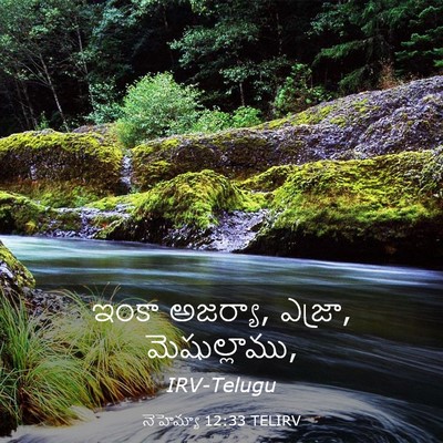 Picture 03 - నెహెమ్యా 12:33 TELIRV - ఇంకా అజర్యా, ఎజ్రా, - Bible Verse Picture