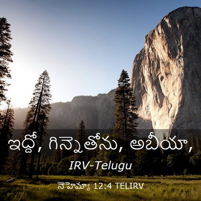 Picture 03 - నెహెమ్యా 12:4 TELIRV - ఇద్దో, గిన్నెతోను, - Bible Verse Picture