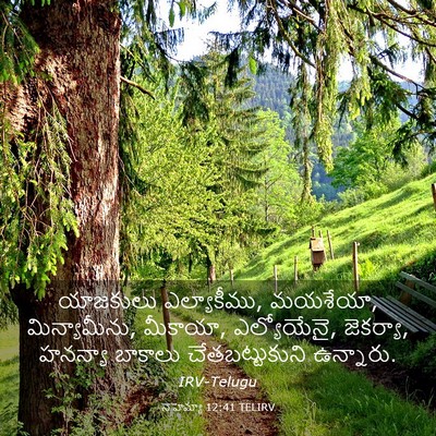 Picture 03 - నెహెమ్యా 12:41 TELIRV - యాజకులు - Bible Verse Picture