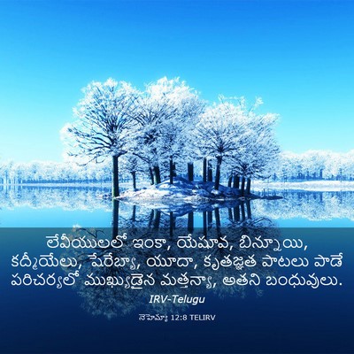 Picture 03 - నెహెమ్యా 12:8 TELIRV - లేవీయులలో ఇంకా, - Bible Verse Picture