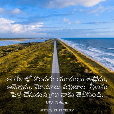 Picture 03 - నెహెమ్యా 13:23 TELIRV - ఆ రోజుల్లో కొందరు - Bible Verse Picture