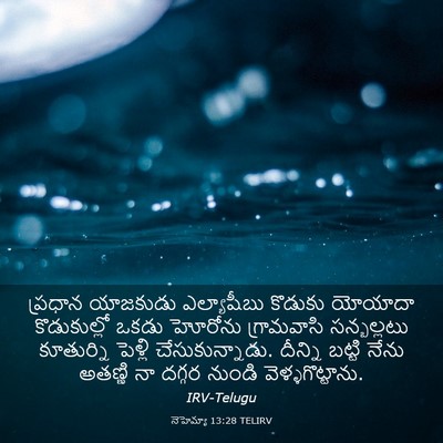 Picture 03 - నెహెమ్యా 13:28 TELIRV - ప్రధాన యాజకుడు - Bible Verse Picture