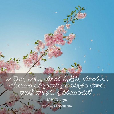 Picture 03 - నెహెమ్యా 13:29 TELIRV - నా దేవా, వాళ్ళు - Bible Verse Picture