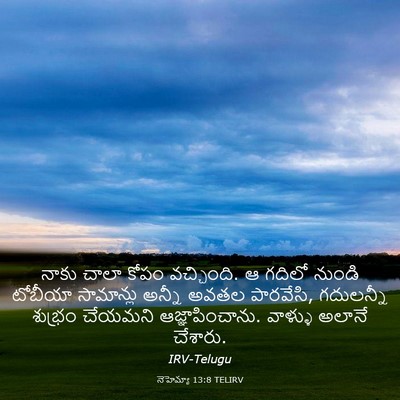 Picture 03 - నెహెమ్యా 13:8 TELIRV - నాకు చాలా కోపం - Bible Verse Picture
