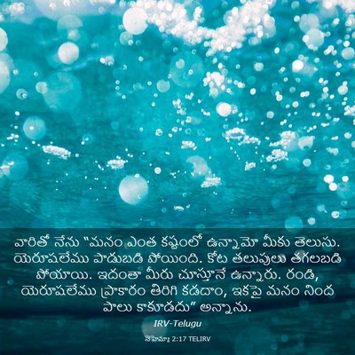 Picture 03 - నెహెమ్యా 2:17 TELIRV - వారితో నేను “మనం - Bible Verse Picture