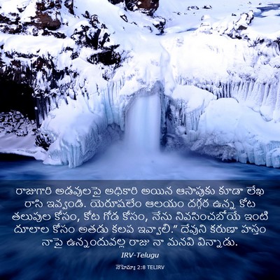 Picture 03 - నెహెమ్యా 2:8 TELIRV - రాజుగారి అడవులపై - Bible Verse Picture