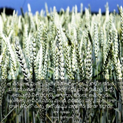 Picture 03 - నెహెమ్యా 3:15 TELIRV - ఆ తరువాత మిస్పా - Bible Verse Picture
