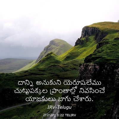 Picture 03 - నెహెమ్యా 3:22 TELIRV - దాన్ని అనుకుని - Bible Verse Picture