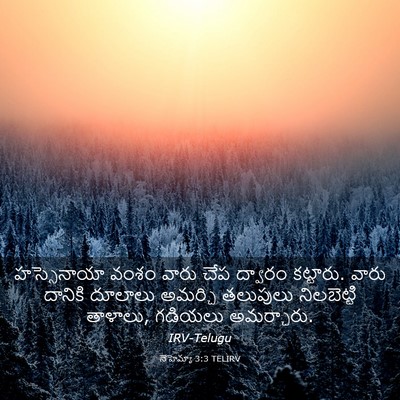Picture 03 - నెహెమ్యా 3:3 TELIRV - హస్సెనాయా వంశం - Bible Verse Picture