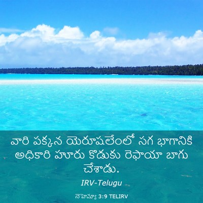Picture 03 - నెహెమ్యా 3:9 TELIRV - వారి పక్కన - Bible Verse Picture