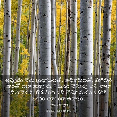 Picture 03 - నెహెమ్యా 4:19 TELIRV - అప్పుడు నేను - Bible Verse Picture