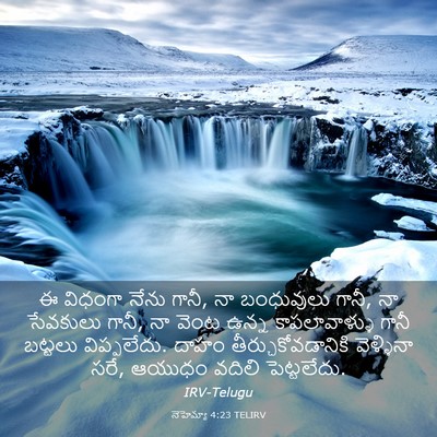 Picture 03 - నెహెమ్యా 4:23 TELIRV - ఈ విధంగా నేను గానీ, - Bible Verse Picture