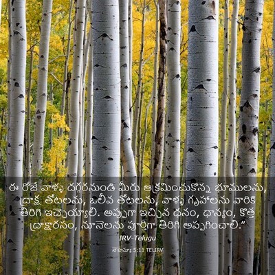 Picture 03 - నెహెమ్యా 5:11 TELIRV - ఈ రోజే వాళ్ళ - Bible Verse Picture