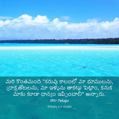 Picture 03 - నెహెమ్యా 5:3 TELIRV - మరి కొంతమంది - Bible Verse Picture
