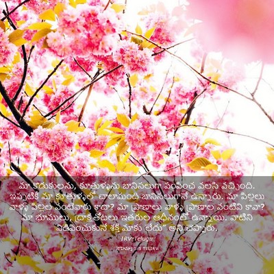 Picture 03 - నెహెమ్యా 5:5 TELIRV - మా కొడుకులను, - Bible Verse Picture