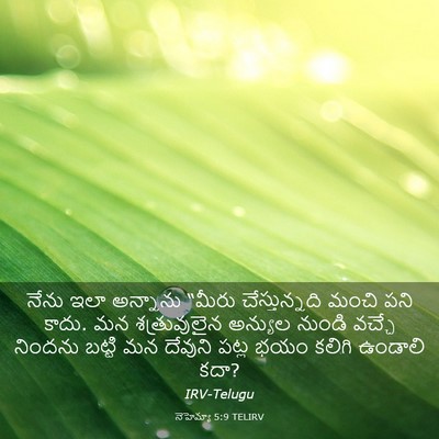 Picture 03 - నెహెమ్యా 5:9 TELIRV - నేను ఇలా అన్నాను - Bible Verse Picture