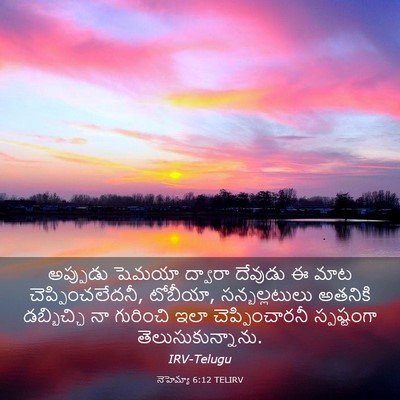 Picture 03 - నెహెమ్యా 6:12 TELIRV - అప్పుడు షెమయా - Bible Verse Picture