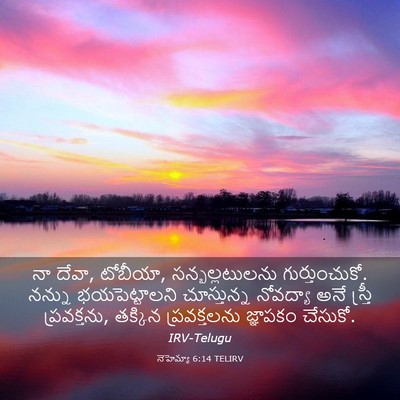 Picture 03 - నెహెమ్యా 6:14 TELIRV - నా దేవా, టోబీయా, - Bible Verse Picture