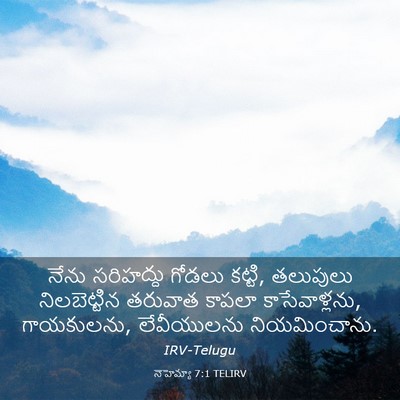 Picture 03 - నెహెమ్యా 7:1 TELIRV - నేను సరిహద్దు - Bible Verse Picture