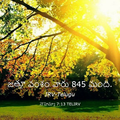 Picture 03 - నెహెమ్యా 7:13 TELIRV - జత్తూ వంశం వారు 845 - Bible Verse Picture