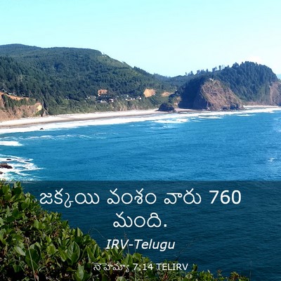 Picture 03 - నెహెమ్యా 7:14 TELIRV - జక్కయి వంశం వారు 760 - Bible Verse Picture