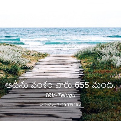 Picture 03 - నెహెమ్యా 7:20 TELIRV - ఆదీను వంశం వారు 655 - Bible Verse Picture
