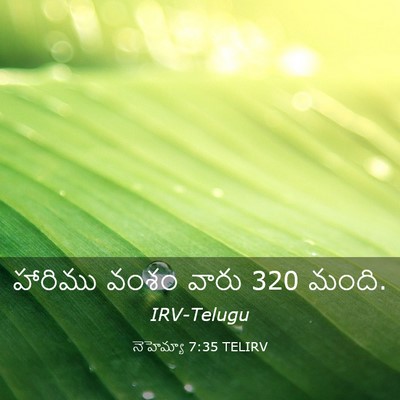 Picture 03 - నెహెమ్యా 7:35 TELIRV - హారిము వంశం వారు 320 - Bible Verse Picture